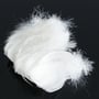 plumas vivenda
