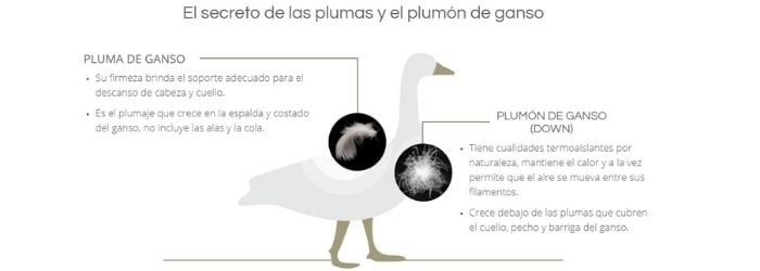 plumas y plumon ganso vivenda