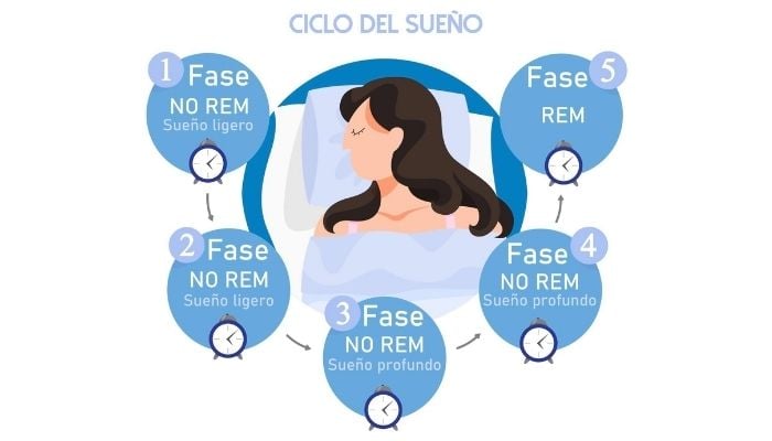 ciclo del sueño vivenda