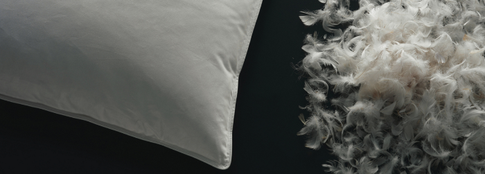 mitos-almohada-de-plumas