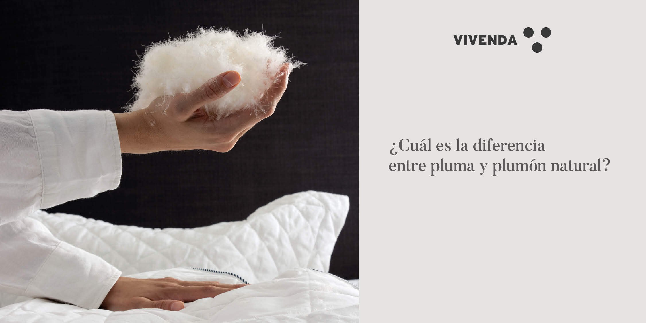 pluma-plumon-ganso-natural-vivenda
