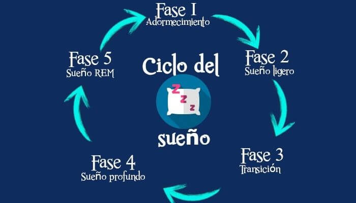 ciclo de sueño vivenda